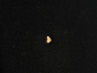 Charm Gioielleria Dossena  in Oro giallo CHOR- 120 - EURO 87